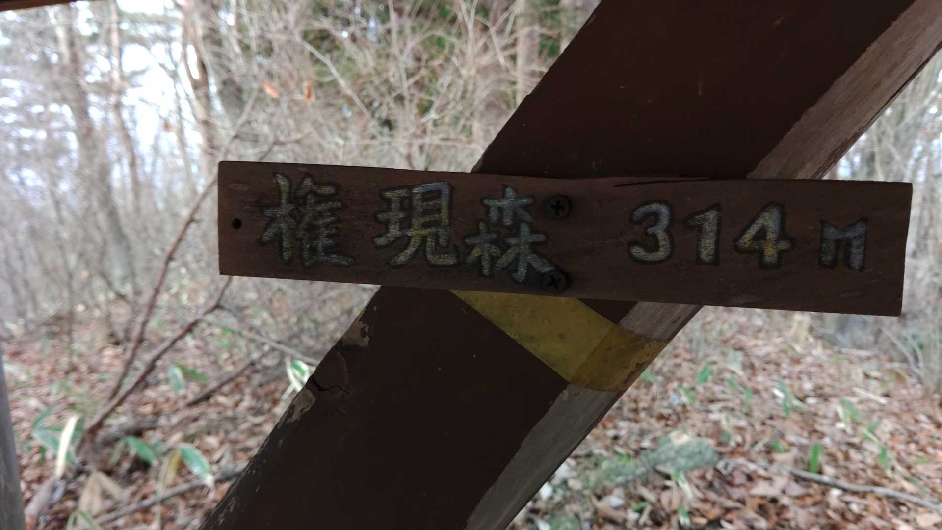 これなかったら正直権現森の山頂ってわかんないよね