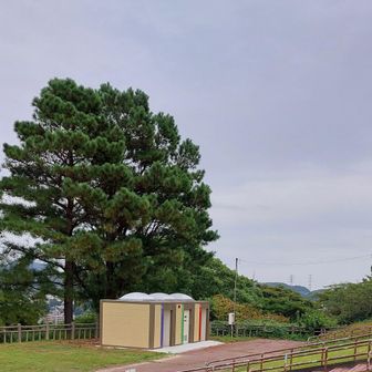 綺麗になったトイレ🚻