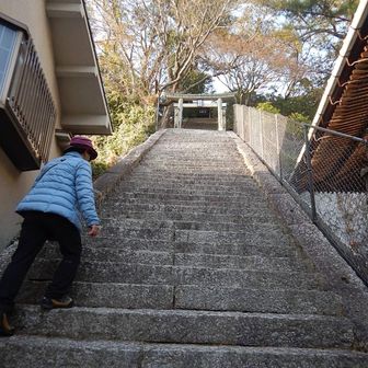 急な石段、100段くらいありました