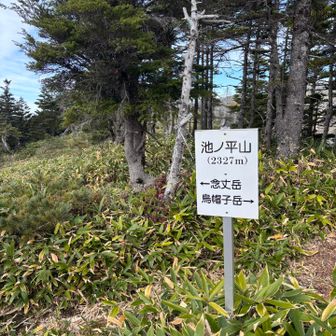 池ノ平山