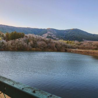 静かな水面。朝イチは風もなくて、体感温度は気温より暖かく感じた🌞