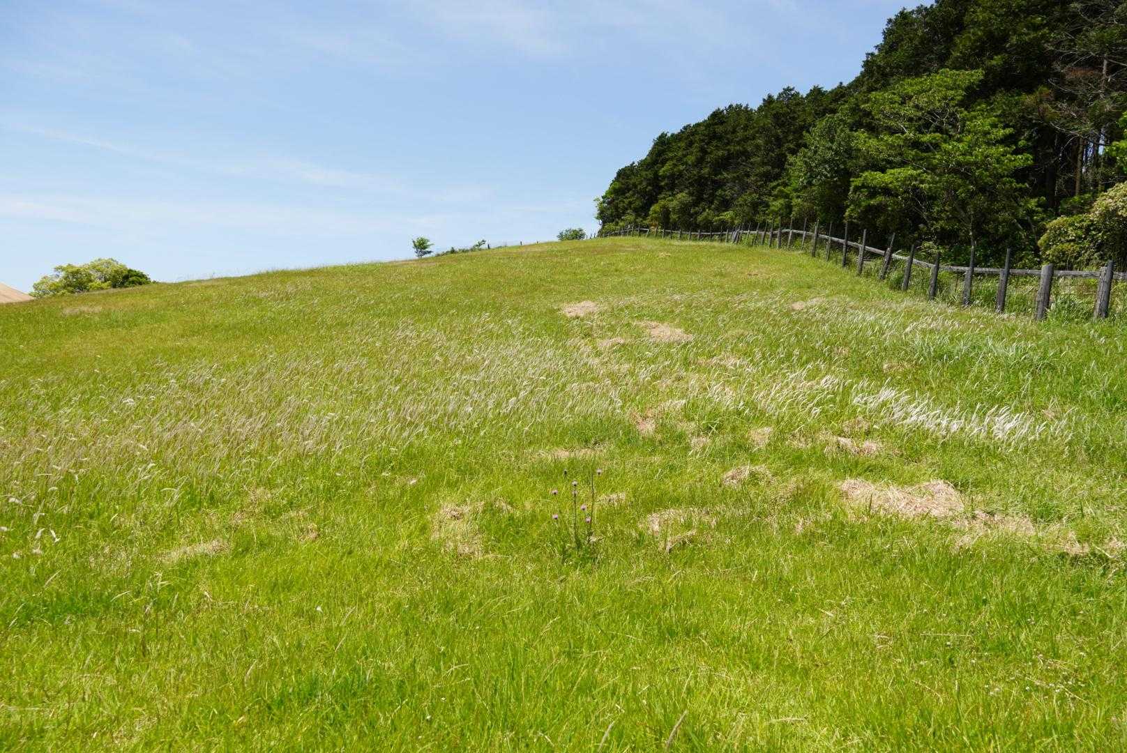 今日はやんぎー小屋の中