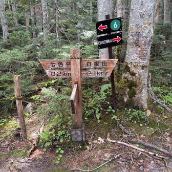 お花畑を見に七色平へ寄り道⬅️
