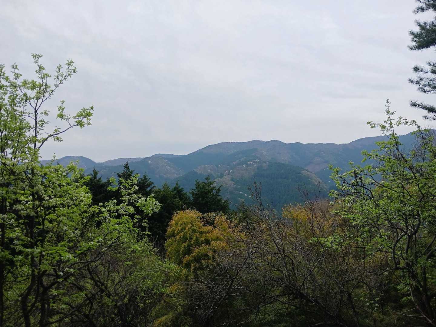人里登山口-人里峠-浅間嶺-時坂峠-払沢の滝入口バス停 縦走コースの写真