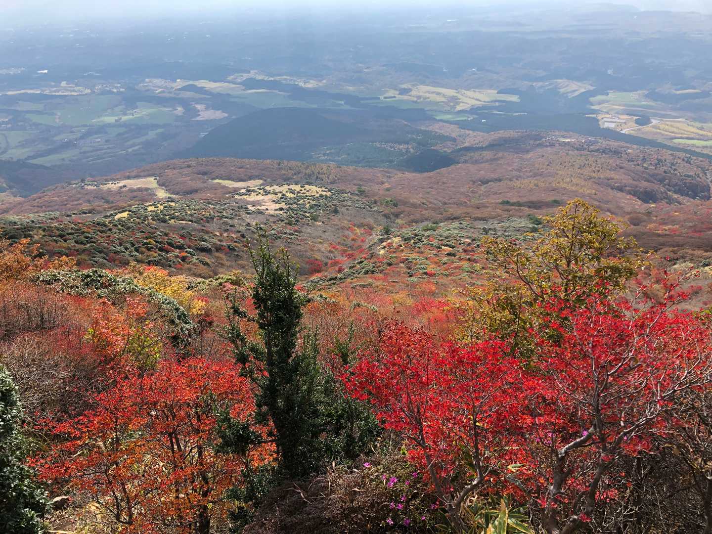 赤川登山口-久住山-扇ヶ鼻 周回コースの写真