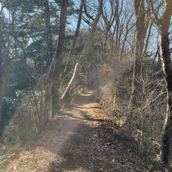 尾根は涼しい🍂