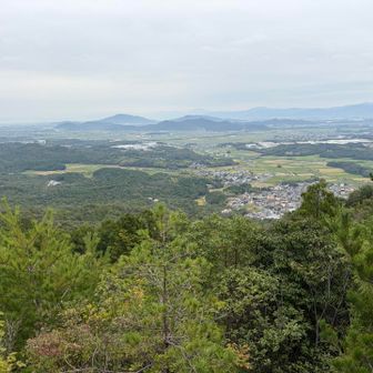 ココも良い景色