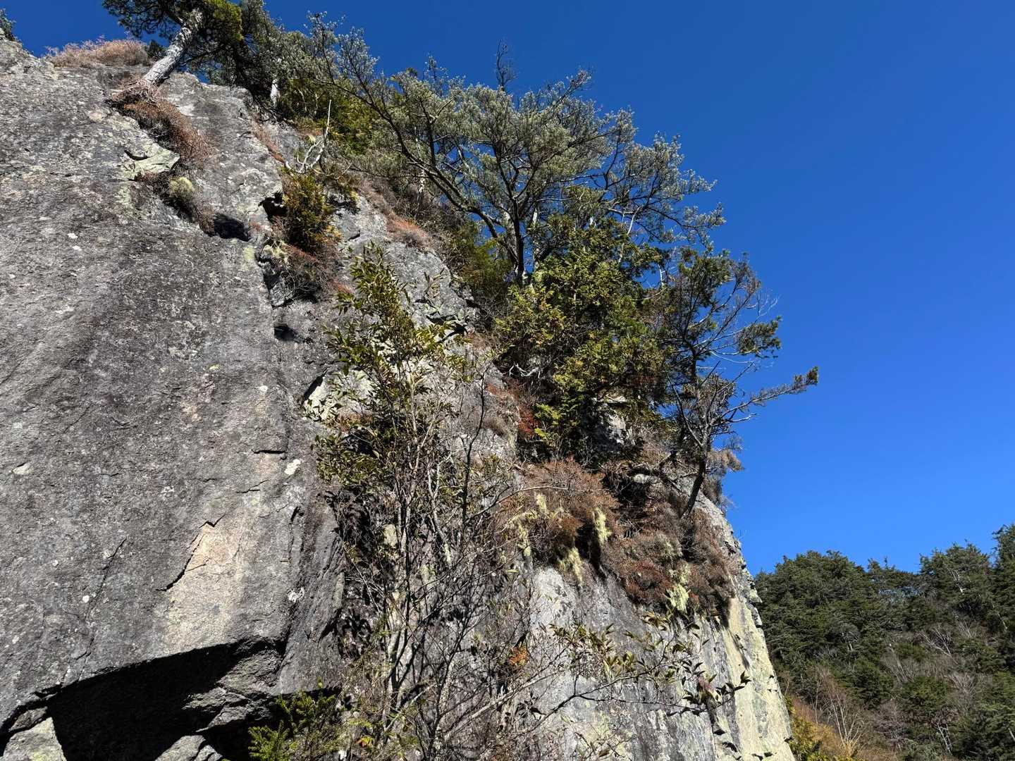 西沢渓谷入口バス停-ゲート-鶏冠山-木賊山 周回コースの写真