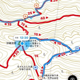 YAMAPの現在地