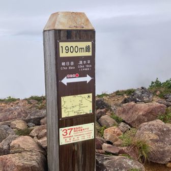 可哀想なネーミングと取るか
個性的と見るか
高さ自体が個性と言えば

1111m飯士山　新潟💁↓

https://yamap.com/activities/43532456

