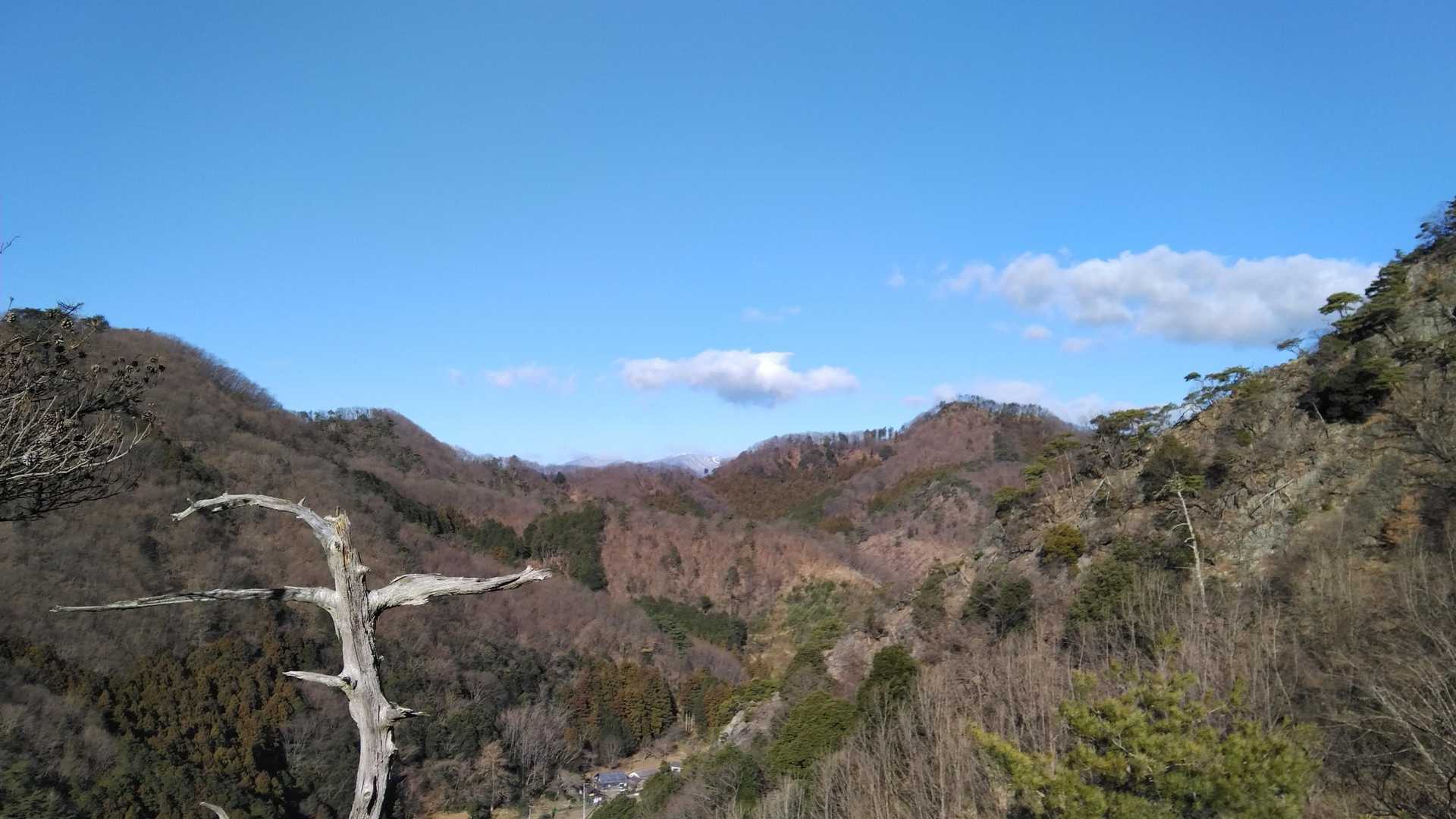 まずここに立ち寄ります✨テンション上がりますね⤴️青空は元気が出ます😊