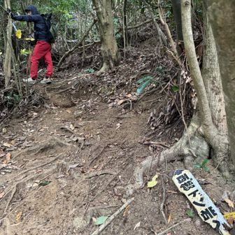 西郷ドン岩へ🪨