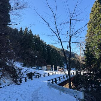 帰って来たー❗️

雪が溶けて
川になって流れて
つくしの子が堂々と立っている様になったら
ボトルのゴムキャップを探しにまた来ます‼️😊