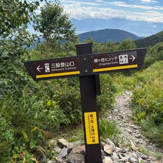 この辺りからバテ始める