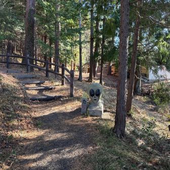 ビックリした〜😆