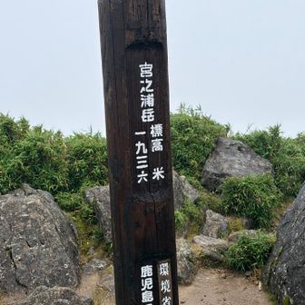 永田岳から宮之浦岳に向かう途中でまたガスガスになり、宮之浦岳からの眺望はやはり無理😭