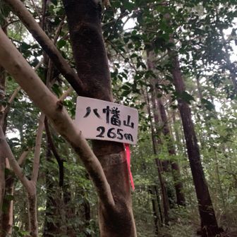 八幡山 山頂！