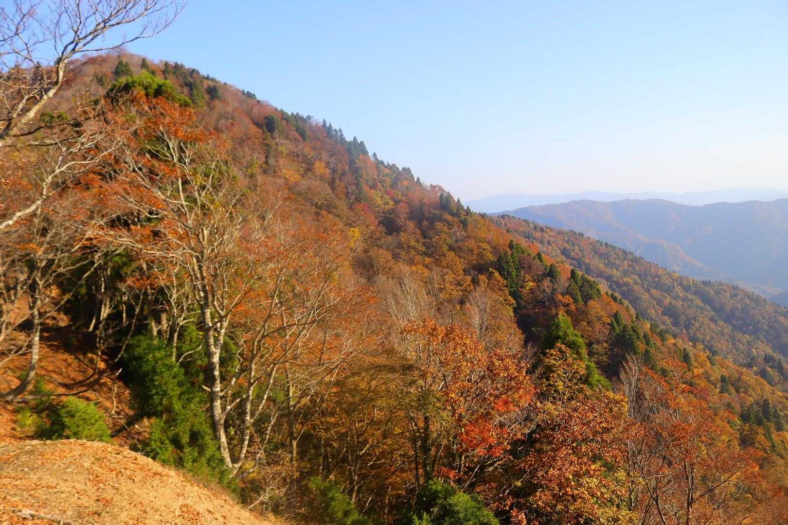 根来坂峠-白石山-百里ヶ岳 往復コースの写真
