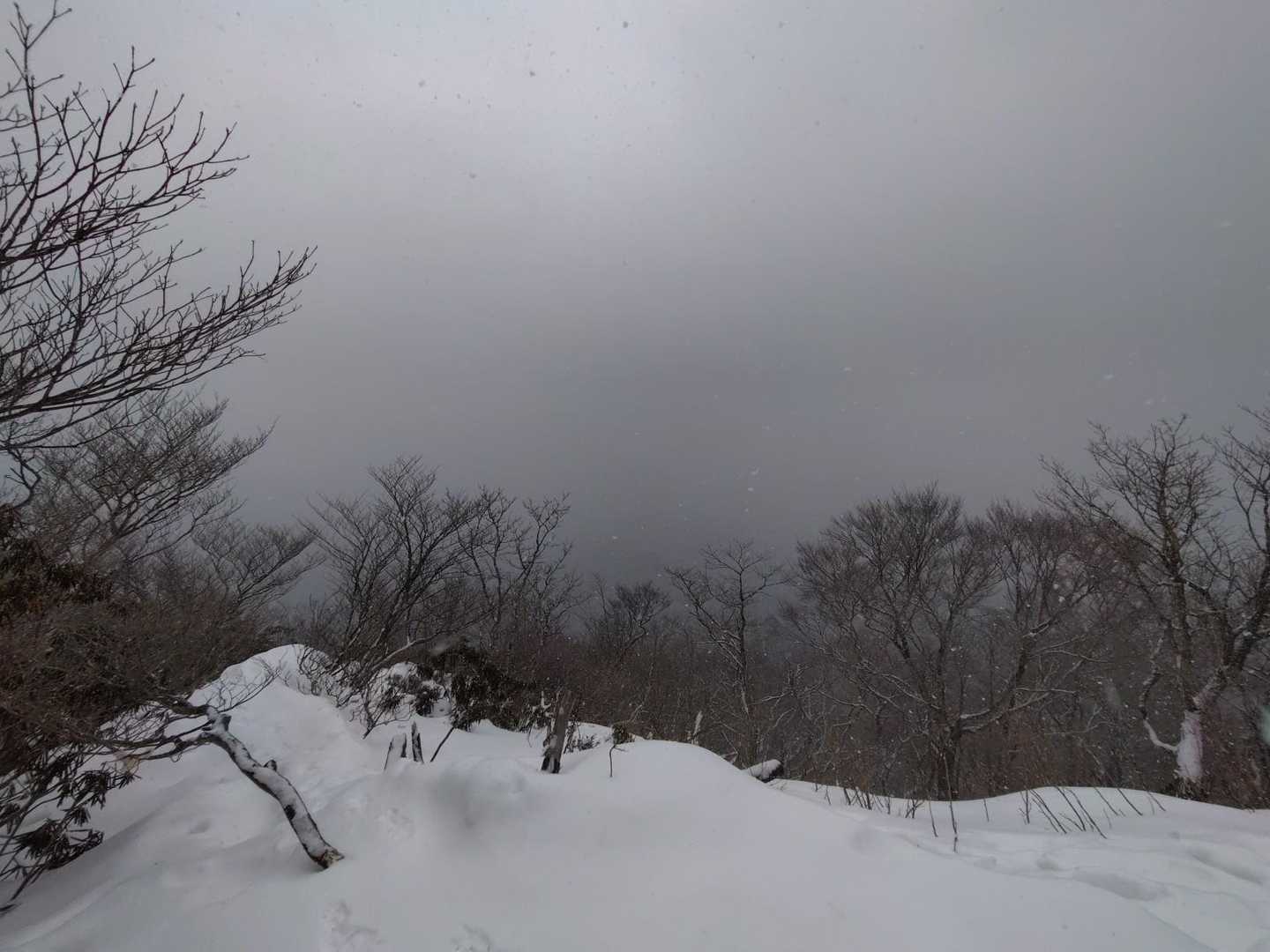 今日は雪は少なめなのかな。
これはお天気の良い時にもう一回来ないと行けないな😤