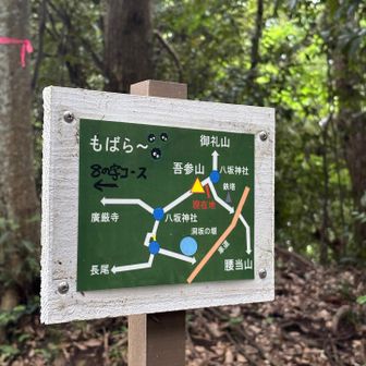 整理された地図