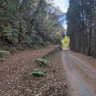 無事下山できました😊
