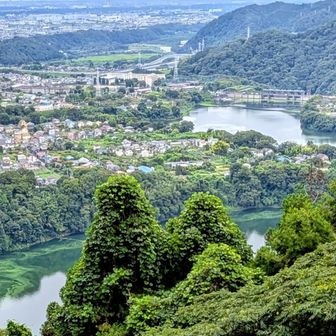 峯の薬師からこんなに素晴らしい景色が見れるんですよ👏
津久井湖と町並み