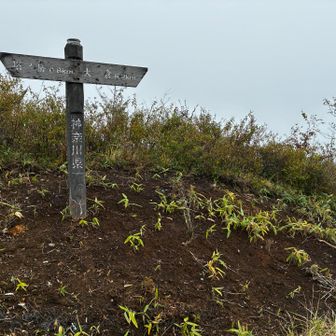 さぁ大倉尾根降ります
トレランの多い事🏃‍♀️🏃‍♀️‼️
通称バカ尾根と言われてる階段地獄をピストンとは凄すぎて😳