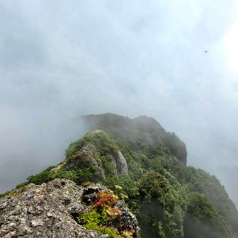 ここへ来て一気にガスり始め青空は消える...
目の前には最後の砦、入道岳があるのに...
打った足が痛すぎて歩けない...
これ以上行くな❗というサインなのか⁉️
友人は気分が悪くなり入道岳はパスすると言う...
どうしようと散々迷い...
痛い足を引きずりながら進んでみる...