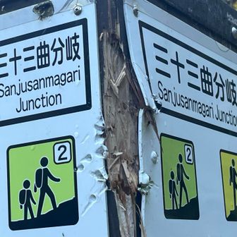 分岐
ここもやられてる
