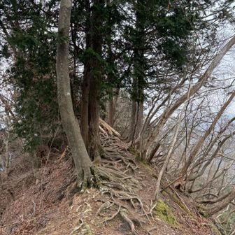 細い尾根歩き🚶‍♀️