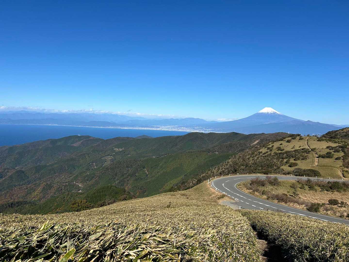 戸田峠-小達磨山-達磨山 往復コースの写真