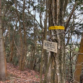 津居地山(YAMAPにはなし)