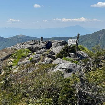 薬師岳山頂はこんな感じ