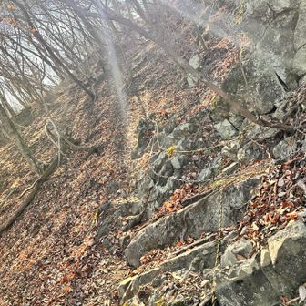 少し足場悪い＆急登
とにかく打撲した足指をぶつけないよう慎重に歩いています😁