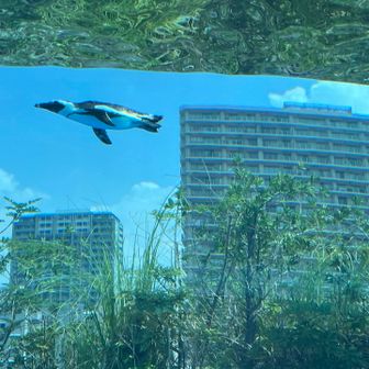 氷菓ワンゲル