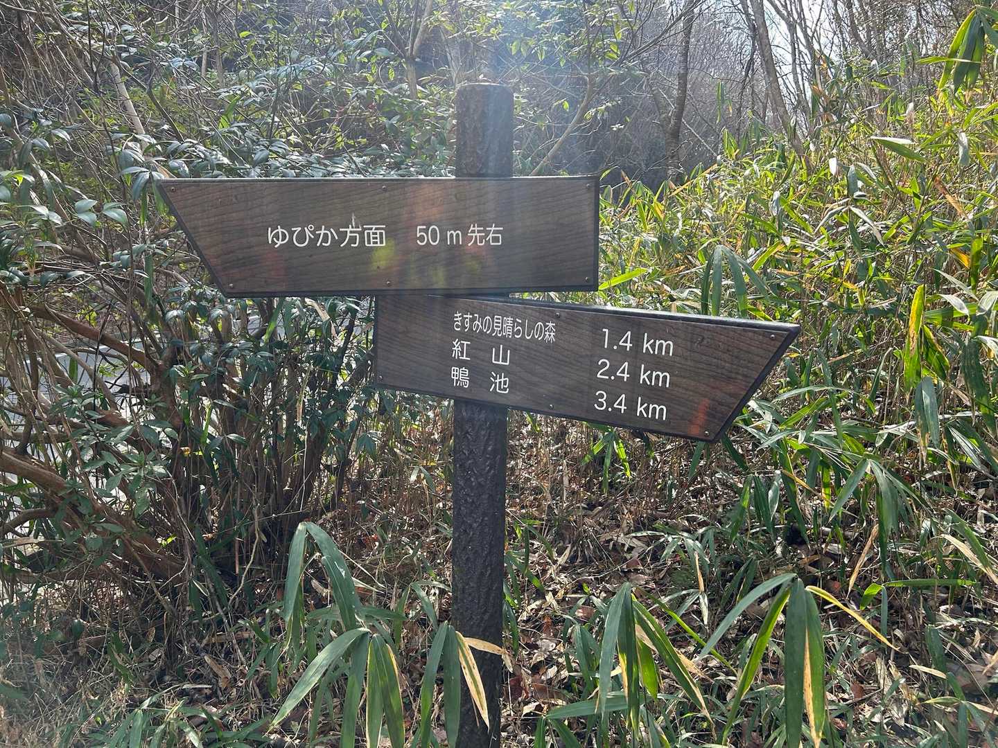道はしっかり案内が出ていて、ロストの心配なし