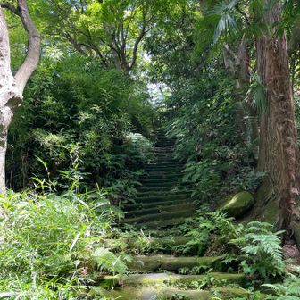 苔むす階段