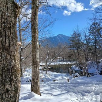 泉門池のむこうに男体山がよく見える
