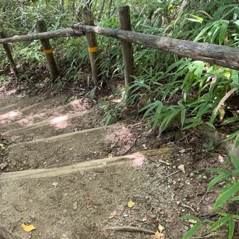 8.5合目？

8と9の間ってことなのでしょうね(知らんけど😛)