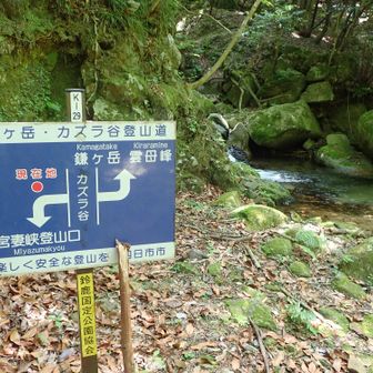ほぼ下山完了
次回来る時はカズラ谷行ってみようかな。