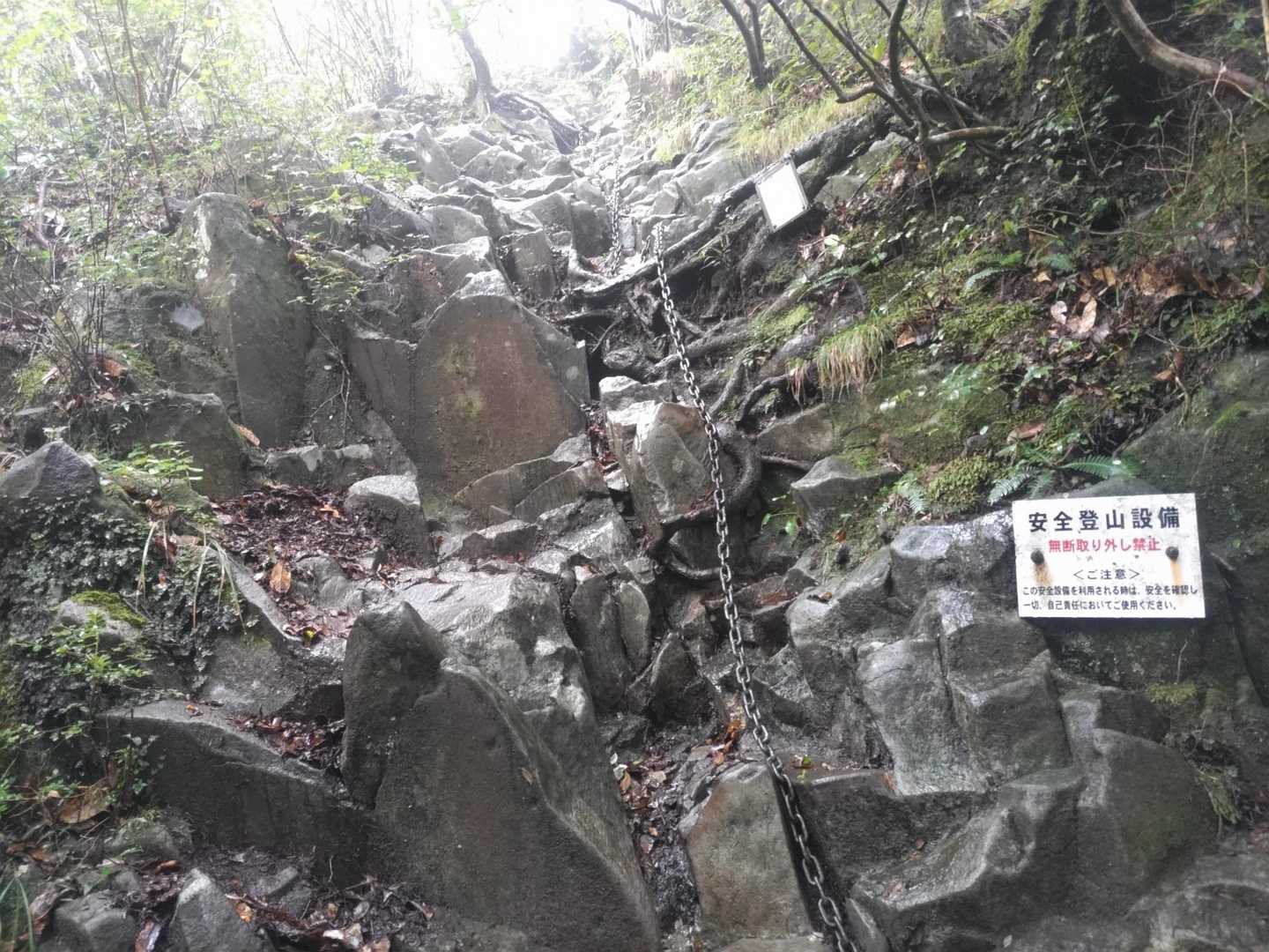 ここから山頂までの鎖場も、特に危険ではありません🍀
安心して登っていきましょう🌱