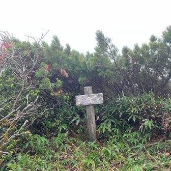 🙌前雷電山、もっと遠かった😆