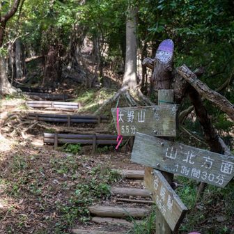 山頂まで55分。