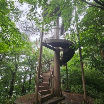 山頂脇の展望台