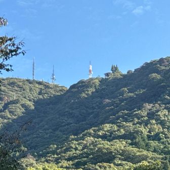 大平山山頂眺めながら降りて行く。
