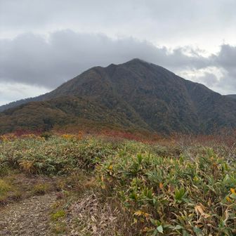 荒島岳だー！