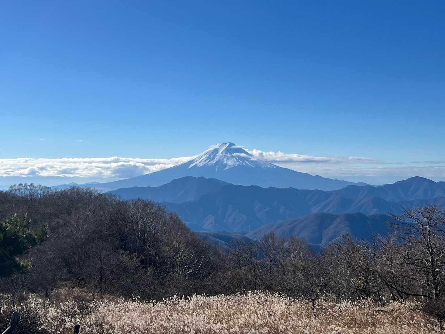 登山口までの道中、ずっと富士山見えなかったから、今日は見れないのかな…って半分諦めてたけど、こんなにキレイに見れたよ✨