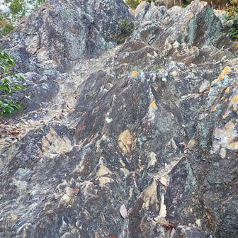 ゴツゴツした岩場です