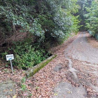 最初に登って行った「馬平・榎辻󠄀」看板のとこに出ちゃった。
松葉の滝に行こっと