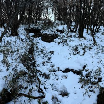 青岳に向かいます